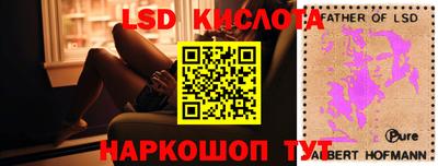 ГАЛЛЮЦИНОГЕННЫЕ ГРИБЫ Свободный